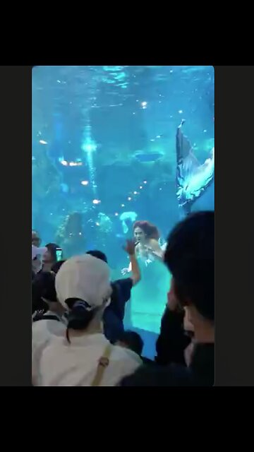 Ever see a real life 'Mermaid?' Here you go