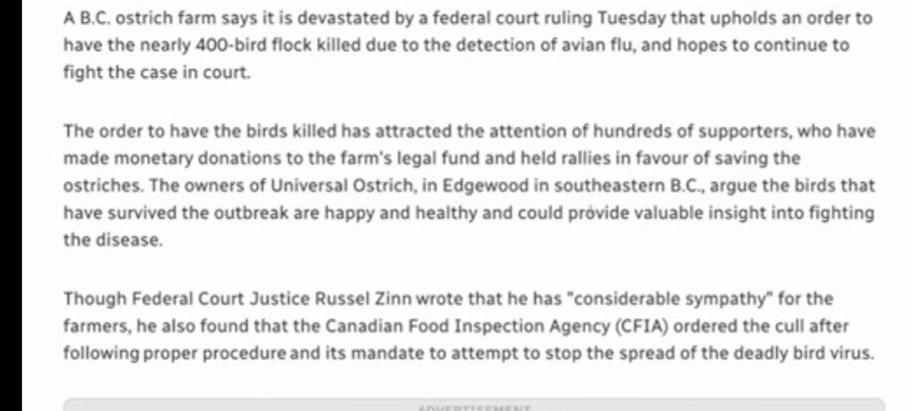 OSTRICHES & WHEN THE CANADIAN GOVT GETS OUT OUT OF HAND