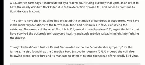 OSTRICHES & WHEN THE CANADIAN GOVT GETS OUT OUT OF HAND
