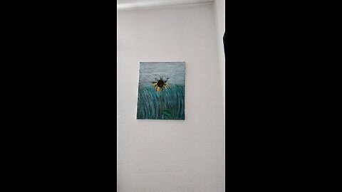 Fly Too High