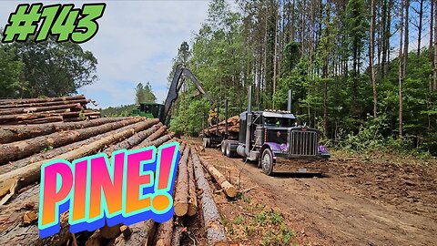 Trucking Pine Pulpwood‼️