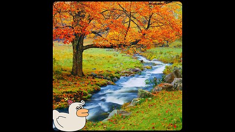 Relax and enjoy