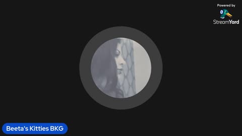 09/06/25 Beeta's Kitties VOD: "Bedtime stories"