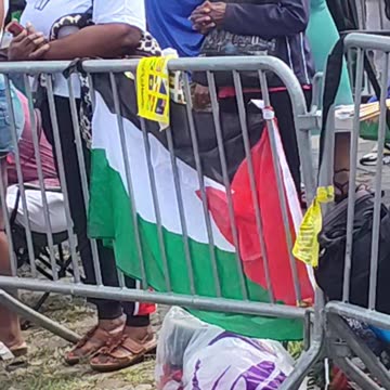 Palestinian flag at the 58th Annual New York Carnival Parade.
