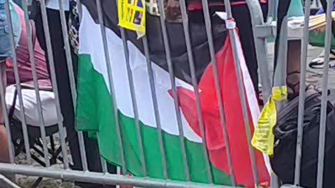 Palestinian flag at the 58th Annual New York Carnival Parade.