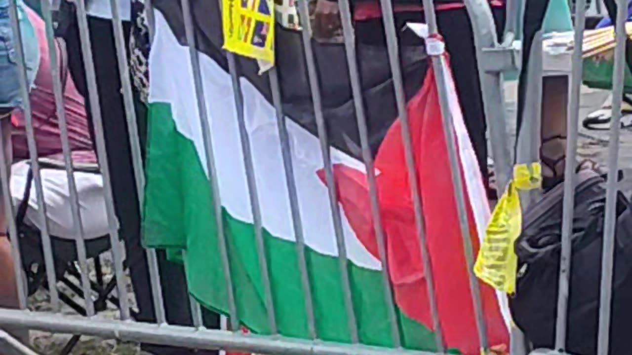 Palestinian flag at the 58th Annual New York Carnival Parade.