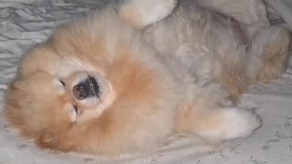 😂🎶 He's DJing in His SLEEP! You Won't Believe This Recording! | FunFM