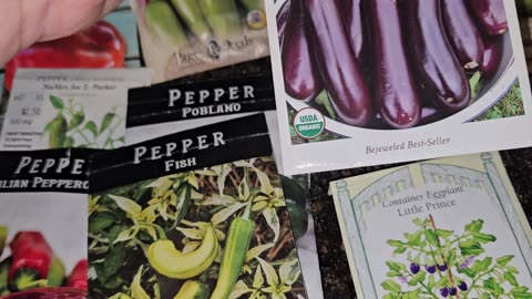 Planting Some Heirloom & Open-Pollinated Peppers, Eggplants, & Tomatillos Seeds