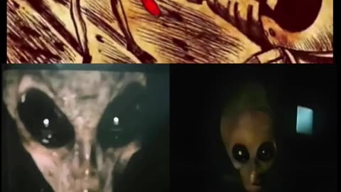 🥤🐙 Non Human Intelligence are real and they have been interacting with humanity for millennia.