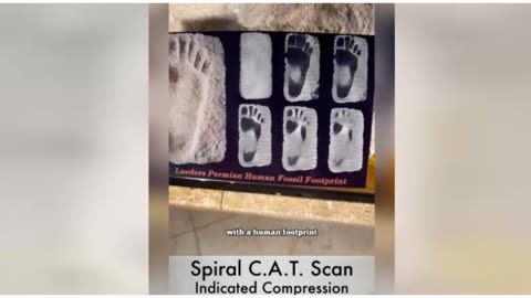 9ft Man's Footprint from 226 Million Years Ago