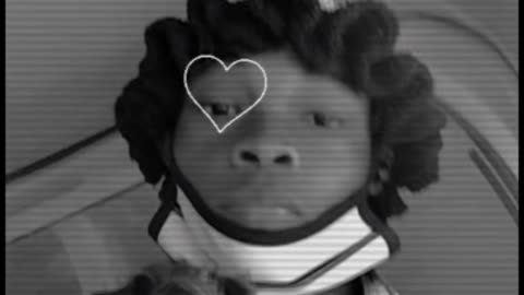 RELATIONSHIP MATTER❤️❤️❤️❤️❤️