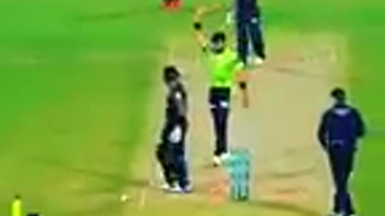 Cricket Lovers