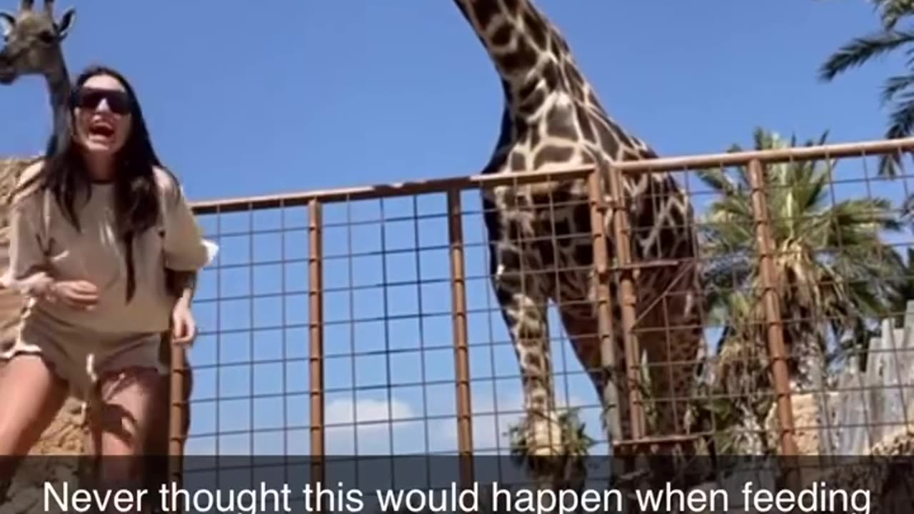 Just let go bud