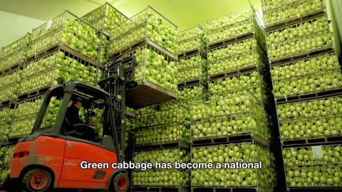 How Millions of Tons of Mink Fur & Civet Coffee Are Made 😱 | INSANE Farming & Processing Revealed
