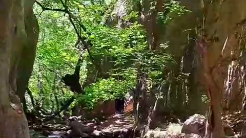 Beautiful Atashgah