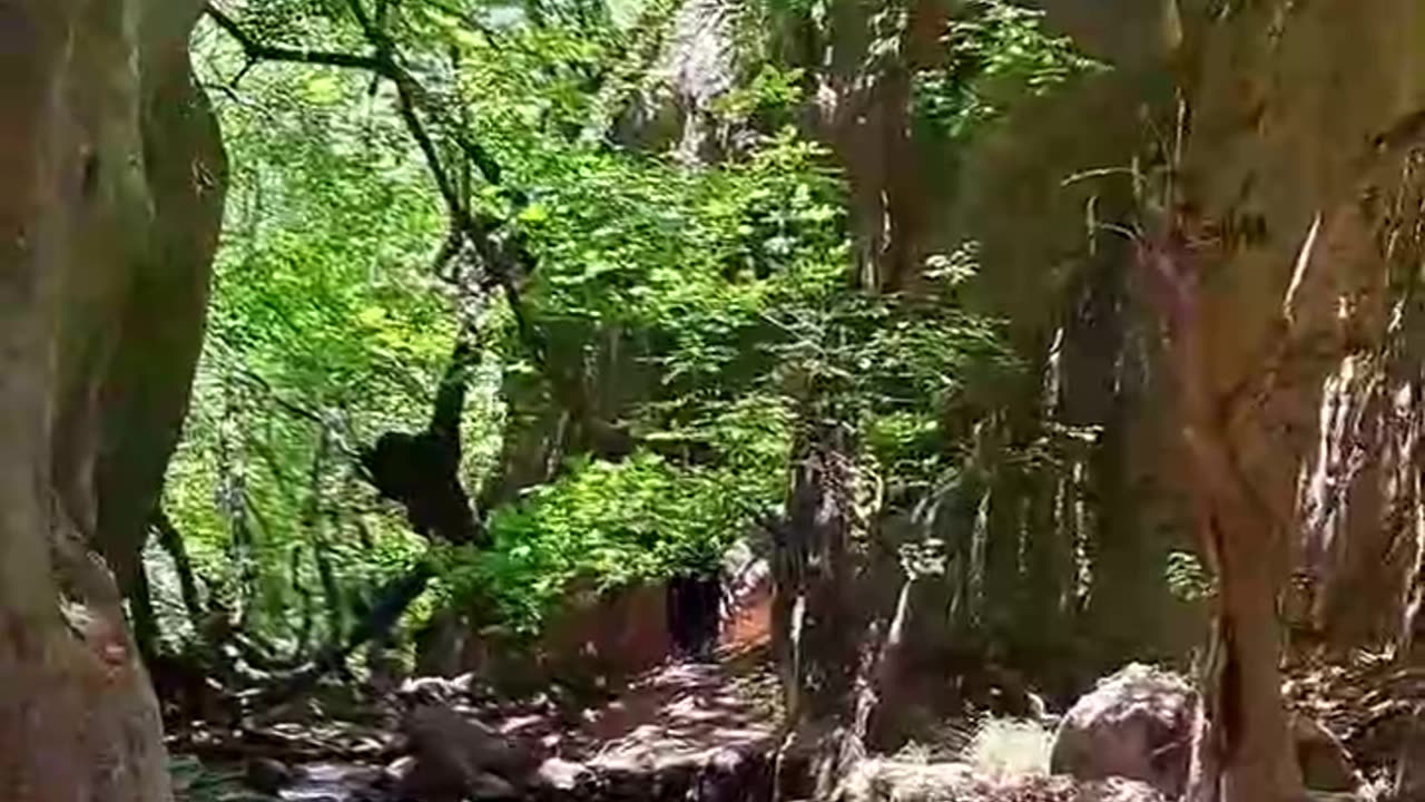 Beautiful Atashgah