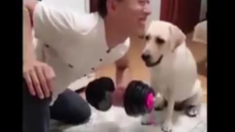 Cat and dog Funny Video