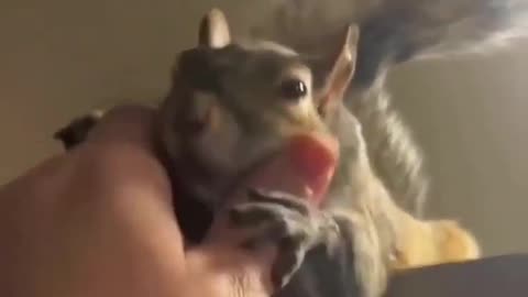 Bro felt this feeling for the first time