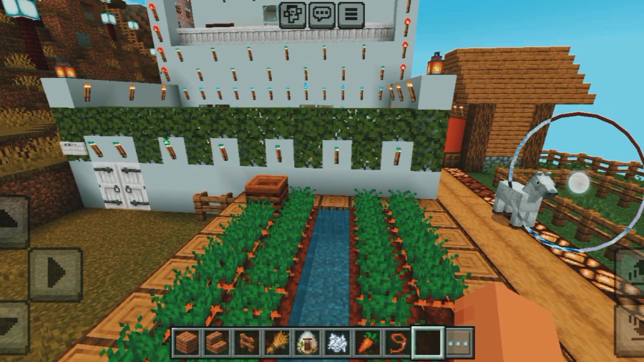 Carret farm in Minecraft