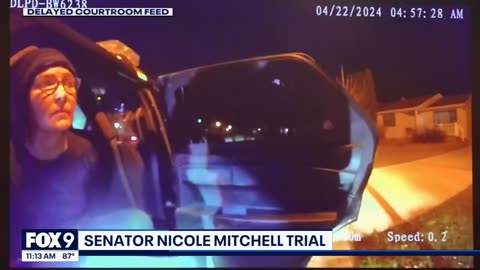 Police bodycam reveals Sen. Nicole Mitchell's burglary arrest