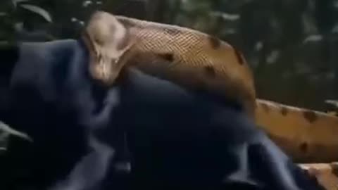 Over confidence