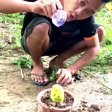 Which is a complete hoax.