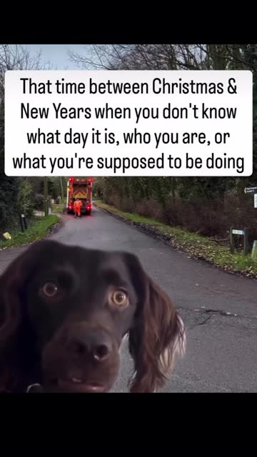 CONFUSING🤪 HOLIDAYS