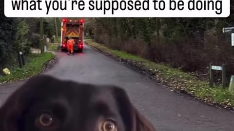 CONFUSING🤪 HOLIDAYS