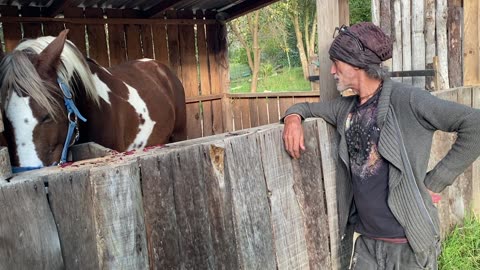 Equine love and animal care and protection, not for eating purposes