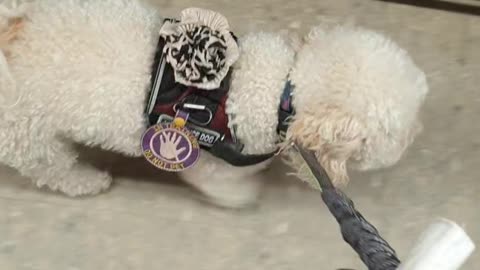 Navigating supermarket aisles, left and right turns - Woolies