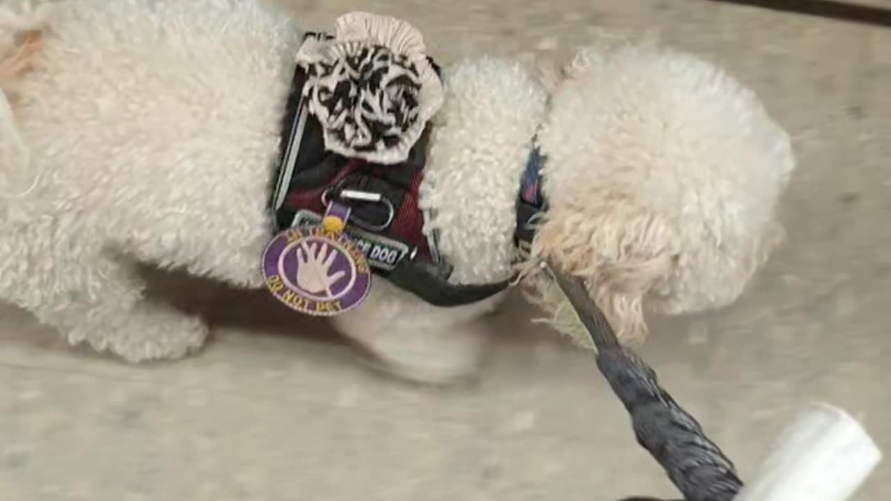 Navigating supermarket aisles, left and right turns - Woolies