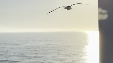 Naughty Nigeria gets"Trick or Treat" Ultimatums for allowing harm to God's People