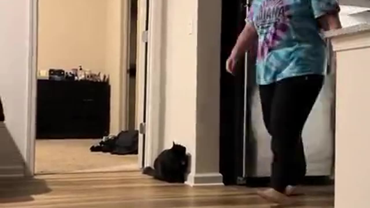 I didn't choose violence, violence chose me... XD