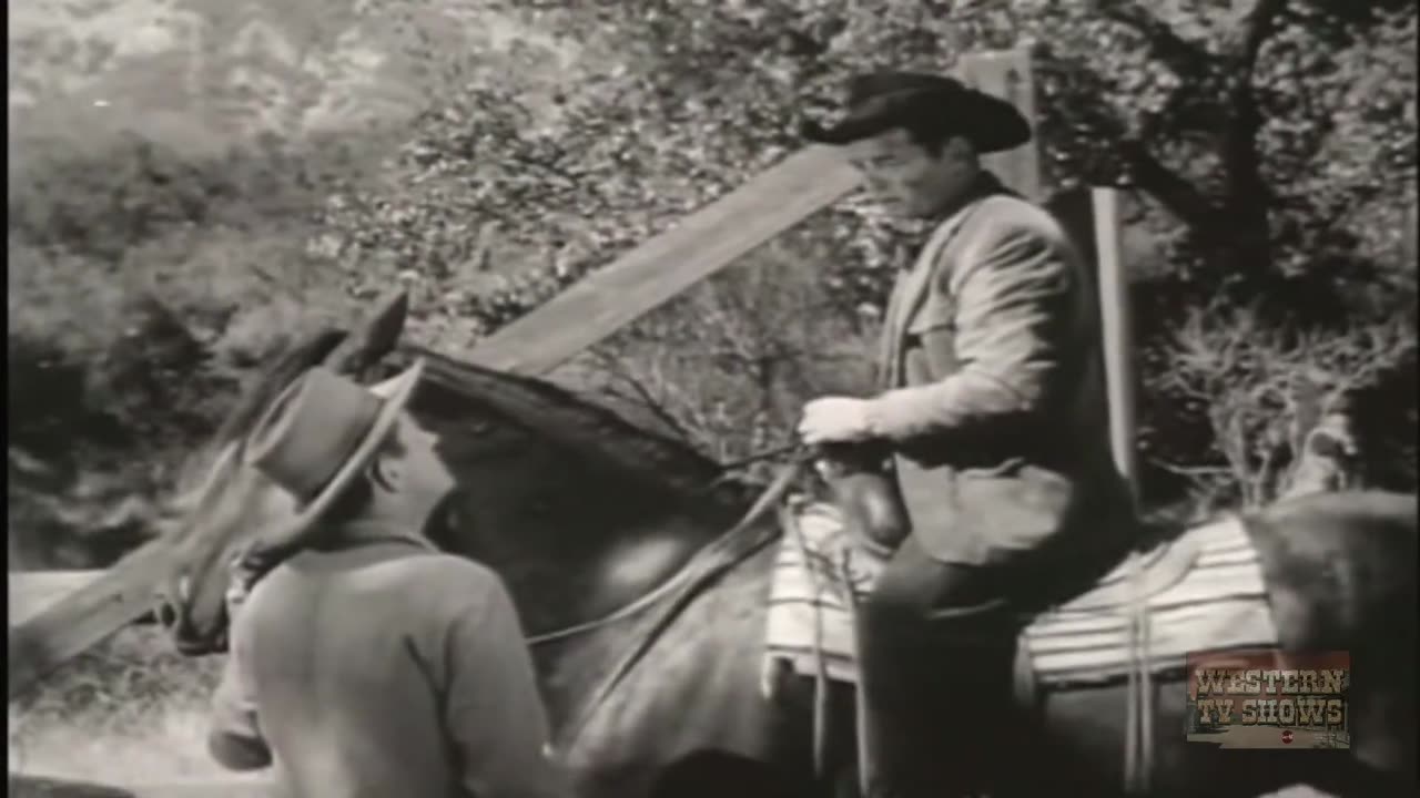 Call of the Forest - Craig Burns)