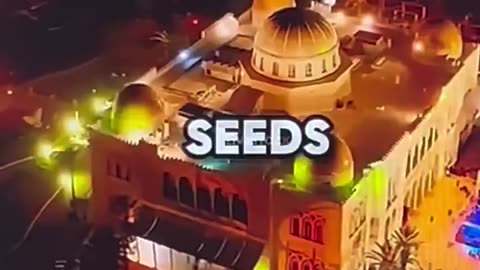 When a country and its people are prospering, the deep state put a stop to it