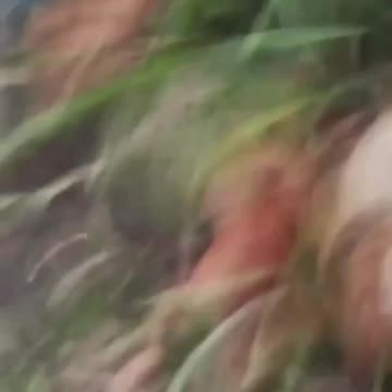 Russians Trigger Some Kind of Explosion While Searching Abandoned Dugout