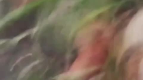 Russians Trigger Some Kind of Explosion While Searching Abandoned Dugout