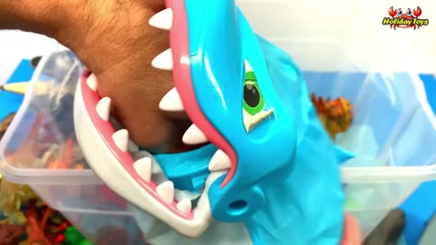 Catch the Green Crocodile and Put it in the Toy Box