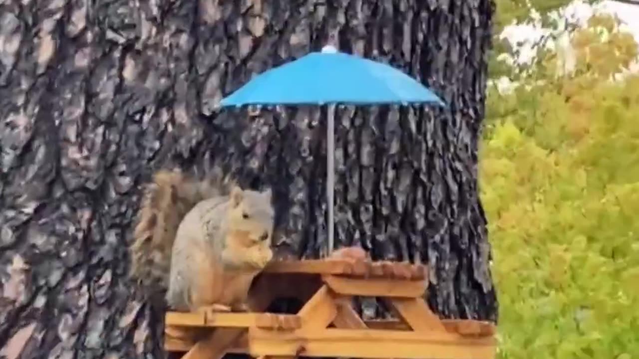 😊