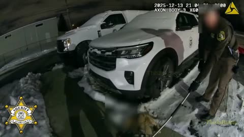 St. Clair County Sheriff’s Office says abandoned dog was fatally shot after injuring deputy