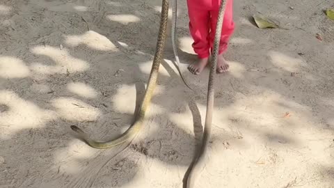 Cute little boy funny shorts viral video