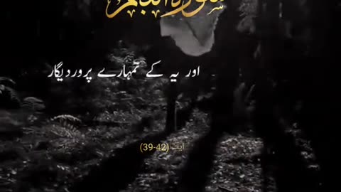 Beshak 💯♥️✨🕊️