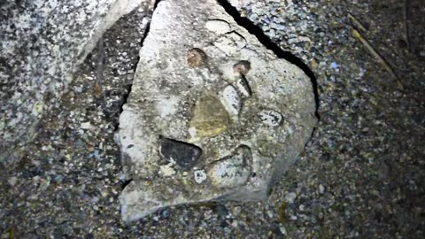 Rocks within a rock!