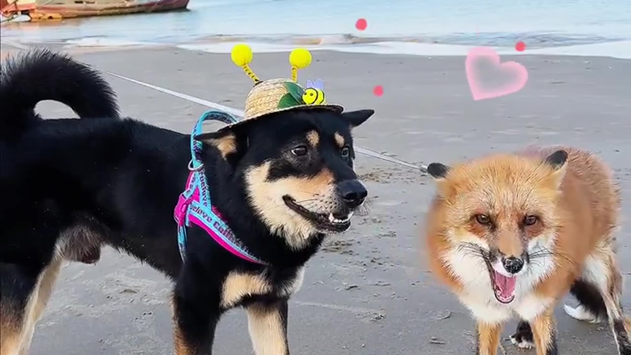 📹 Trending Chinese Viral Videos | Funny, Emotional & Shocking Moments