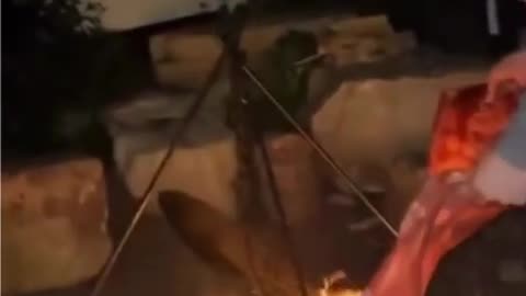 😂 Home Made Grill Not Grilling | FunFM