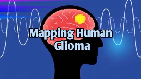 Unveiling the Multiomic Landscape of Human Gliomas: A Comprehensive Exploration