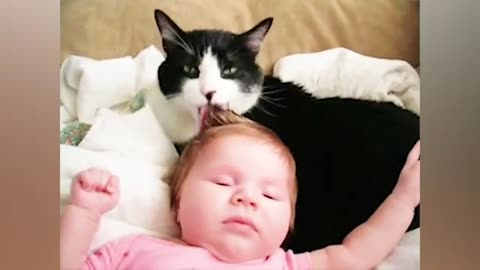 Animals Meeting Babies for the First Time – Cute & Funny Part 2