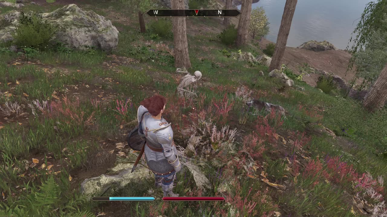 oblivion new