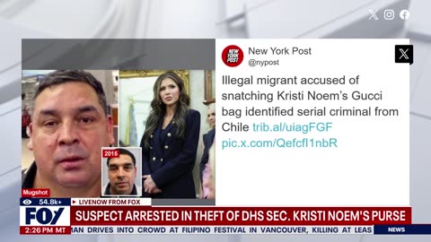 Suspect arrested in Kristi Noem's purse theft case