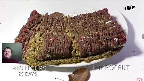 Reacting To Minced Meat Time-Lapse